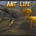 Ant Life | CHAMS, ESP ...