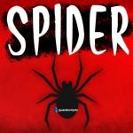 Spider | AUTO WIN SCRIPT [🛡️] :~)